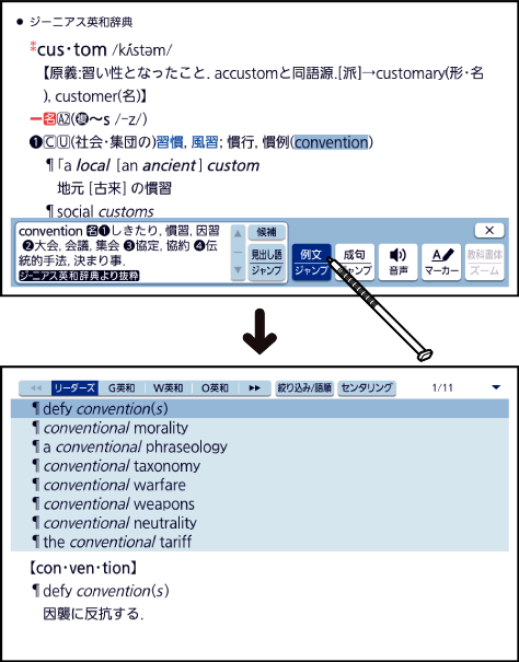 Examine_Example_Sentences Phrases 002 SA4910